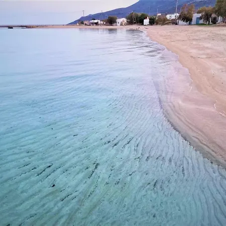 Meli Near Sea Side *